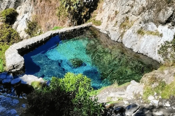 El Páramo + Aguas Termales De La Musuy